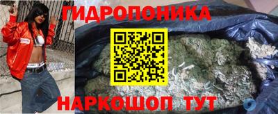 амф Гай