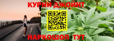 амф Гай