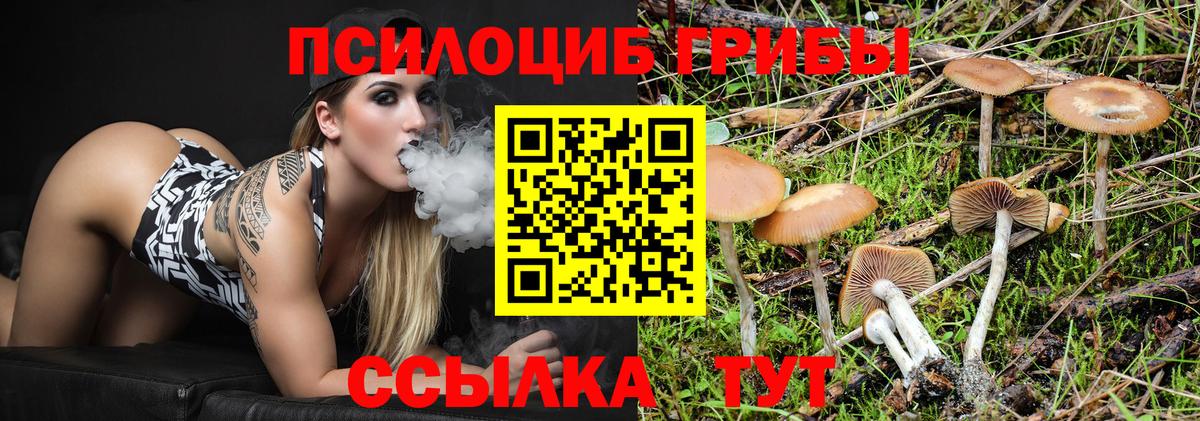 Балашиха  Галлюциногенные грибы ЛСД  Вход с VPN 